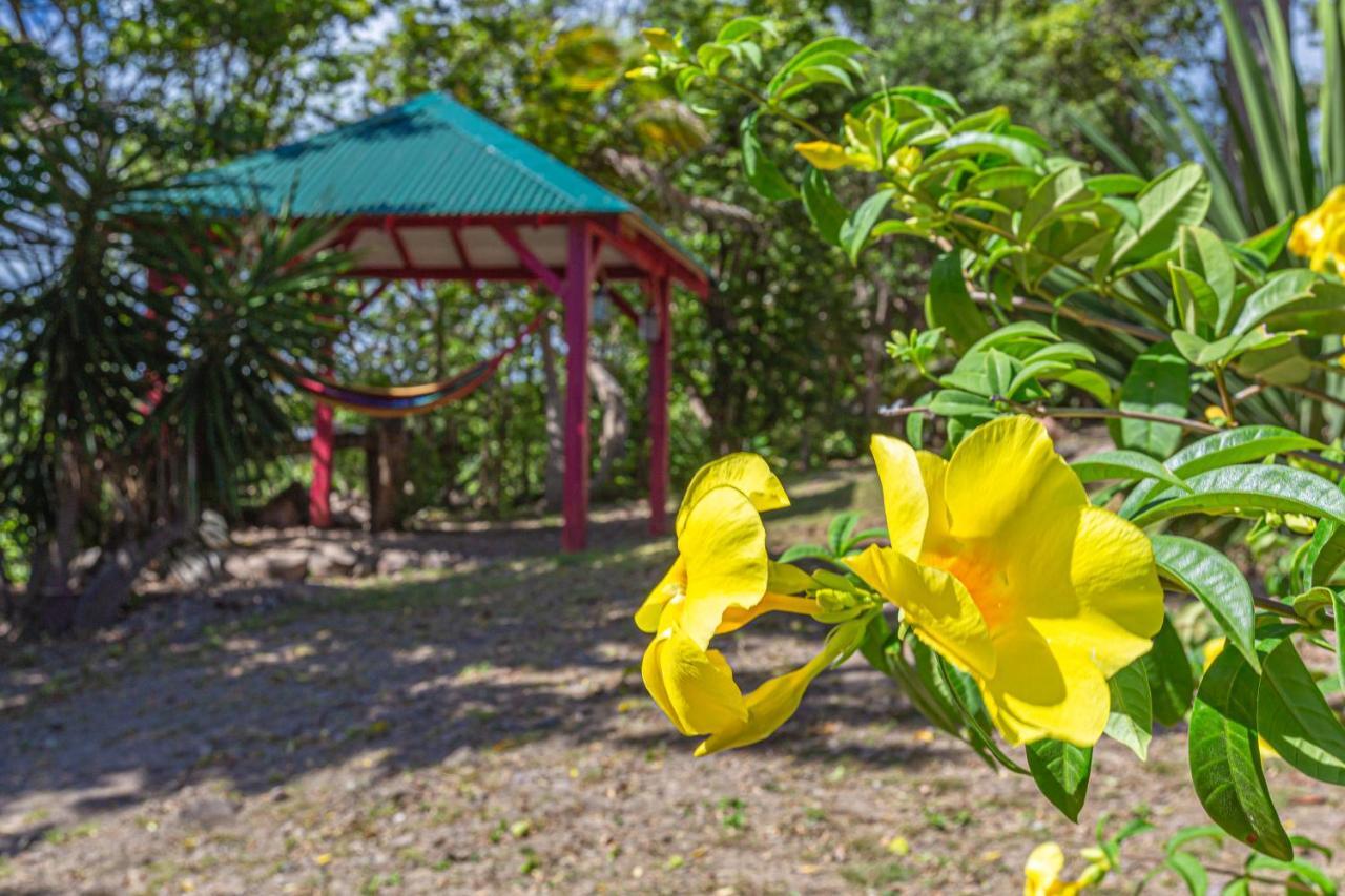 Villas Ti Creole Nogent Sainte-Rose Bagian luar foto